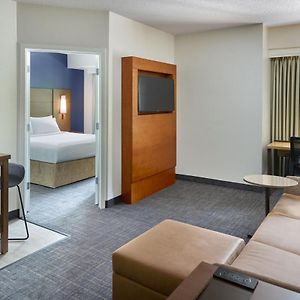 One-Bedroom Queen Suite Sofa Bed